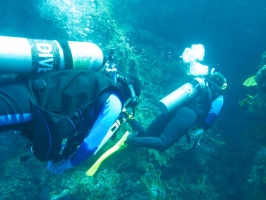 Divers IMG 5123